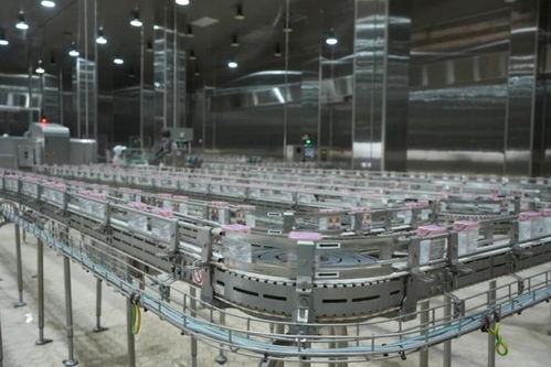 探秘比瑞吉透明工廠 一座食品級寵物廚房的全球標(biāo)準(zhǔn)與細節(jié)